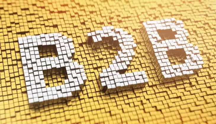 B2B SEO Guide