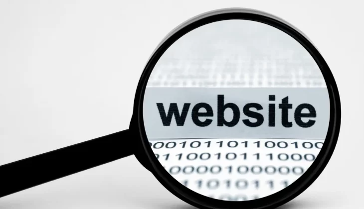 Search Website